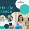 What is Life Insurance