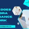 How does COBRA Insurance work