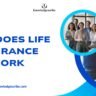 How does life insurance work
