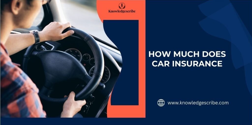How much does car insurance cost