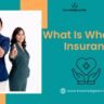 What is Whole Life Insurance