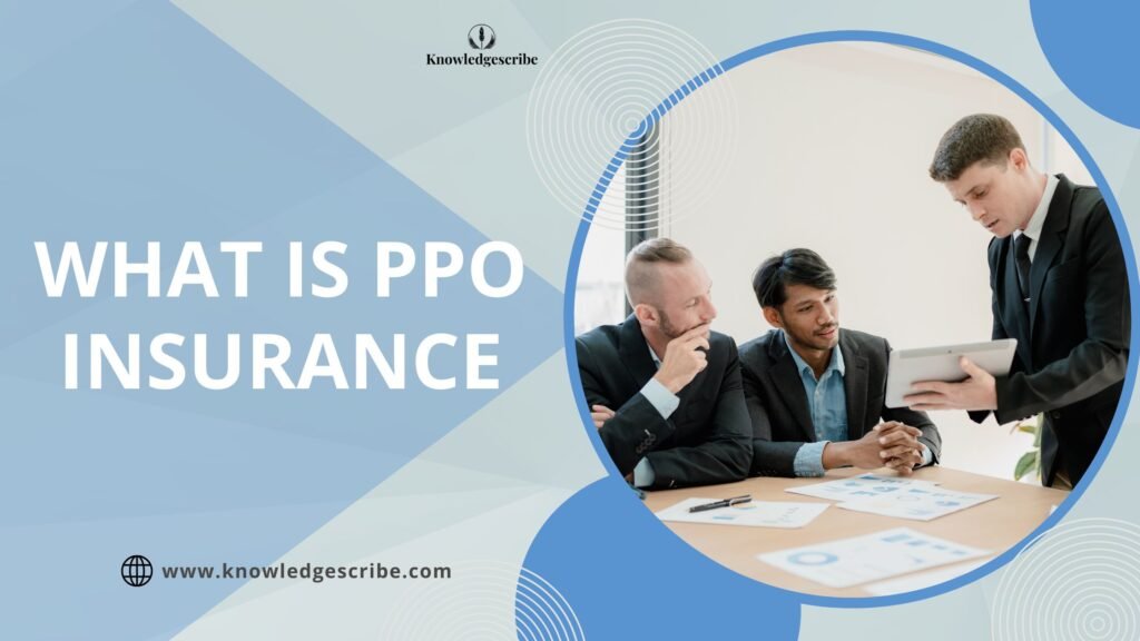 What is PPO Insurance