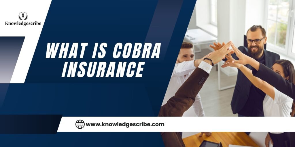 What is Cobra Insurance