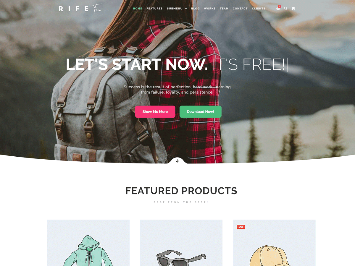 Free WordPress Themes : Download for Your Website 23 Rife Free