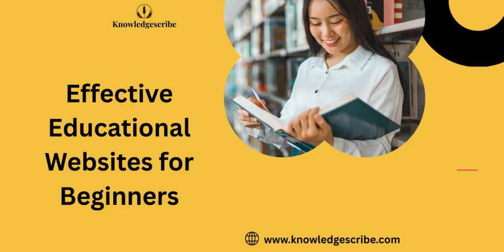 Effective Educational Websites for Beginners