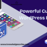 Powerful Custom WordPress Plugin