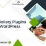 Best Gallery Plugins for WordPress
