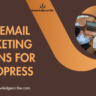 Best Email Marketing Plugins for WordPress